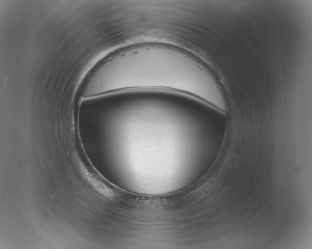 X0000078030934200610271038