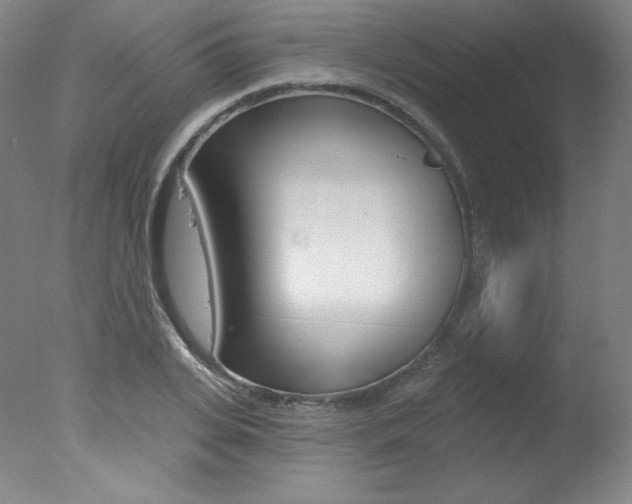 X0000078030935200610271038