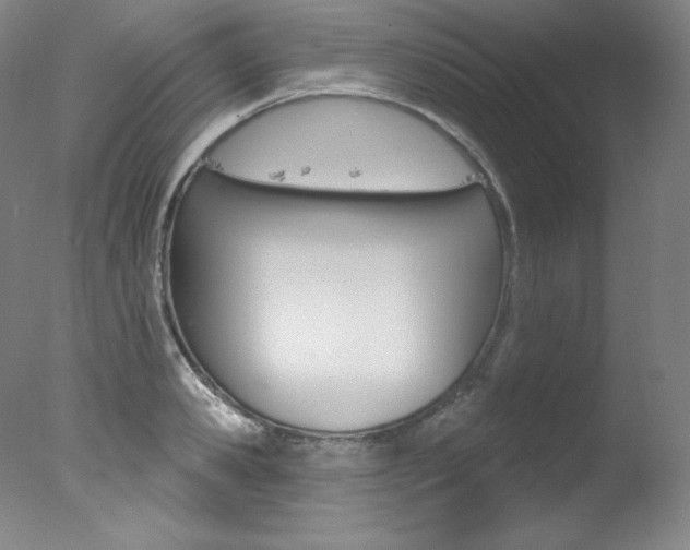 X0000078030941200610271038