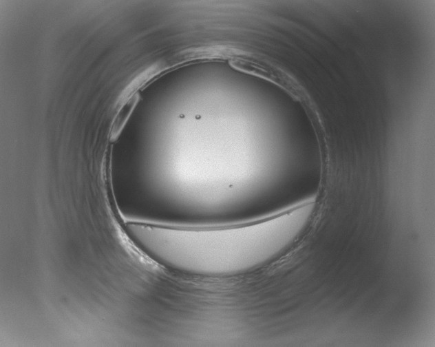X0000078030946200610271038