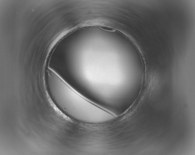 X0000078030949200610271038