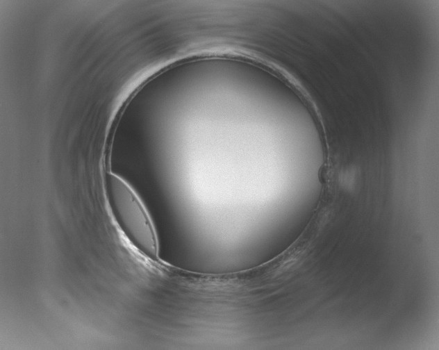 X0000078030951200610271039