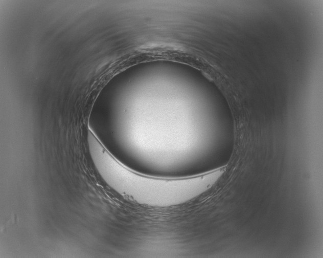 X0000078030965200610271038