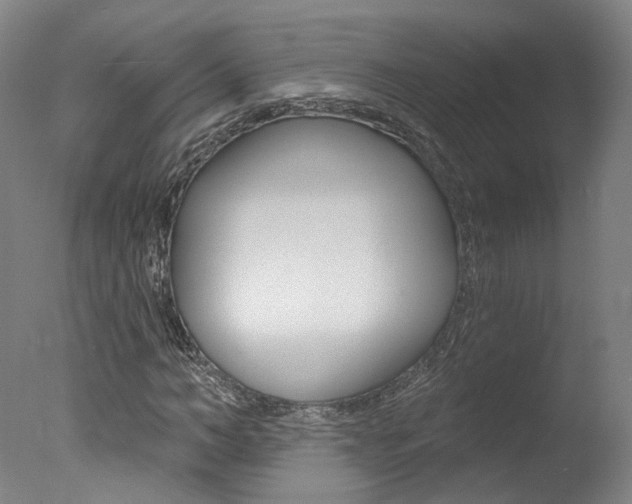 X0000078030966200610271038