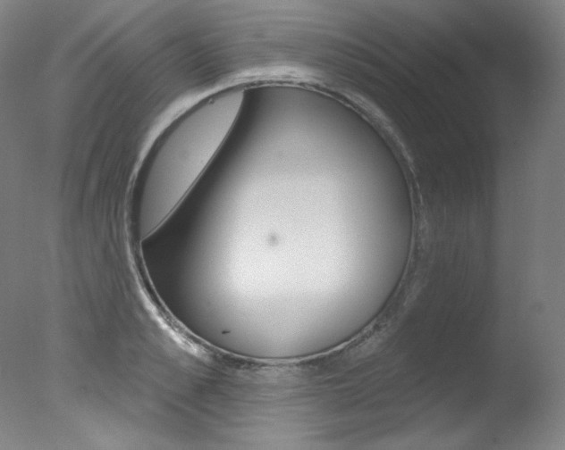 X0000078030989200610271037