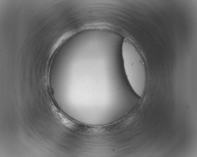 X0000078030994200610271037