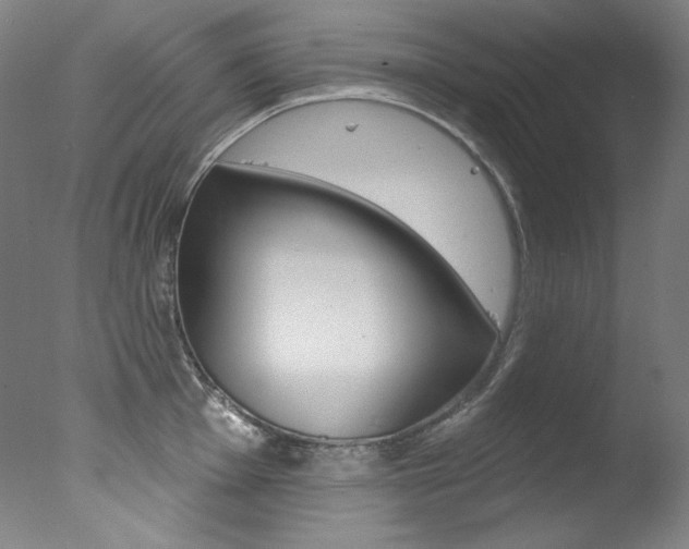 X0000078031001200610271037