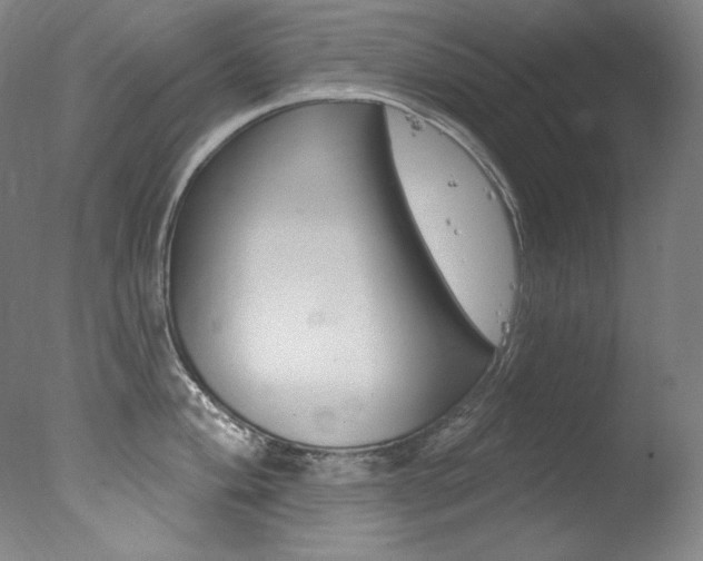 X0000078031004200610271037