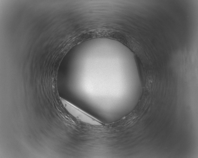 X0000078031010200610271036