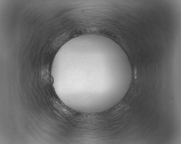 X0000078031011200610271036