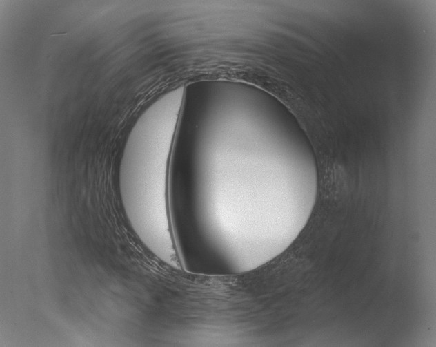 X0000078031013200610271036