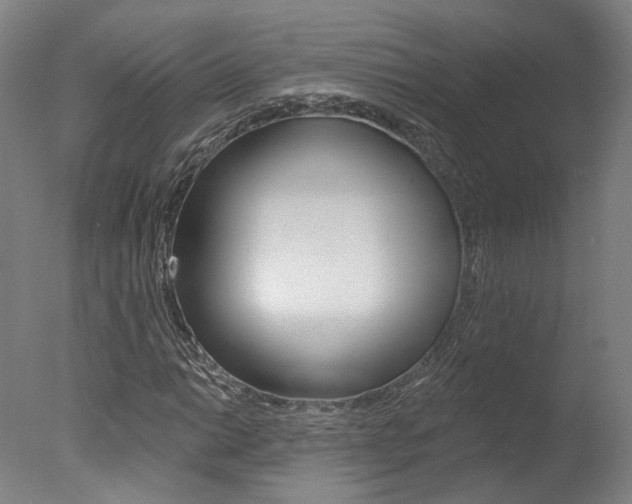 X0000078031014200610271036