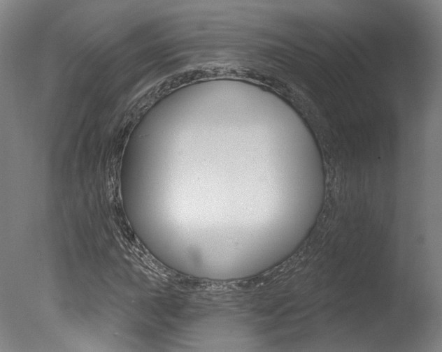X0000078031015200610271036