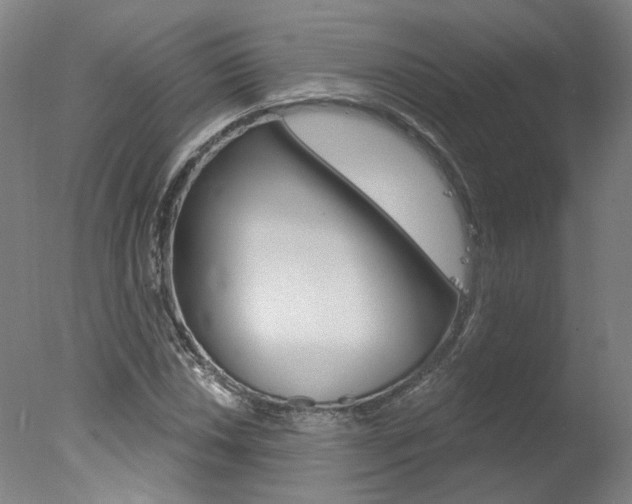 X0000078031018200610271036