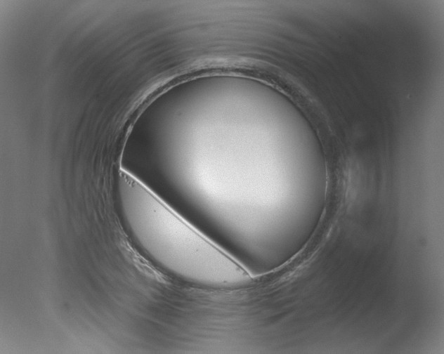 X0000078031025200610271037