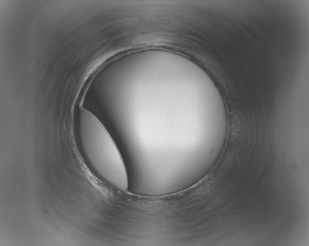 X0000078031031200610271037