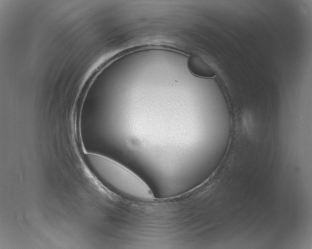 X0000078031032200610271037