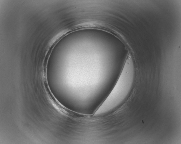X0000078031034200610271037