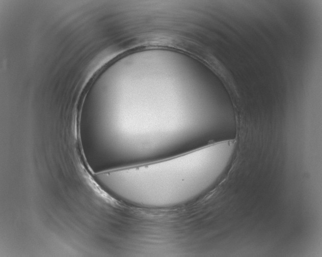 X0000078031036200610271037
