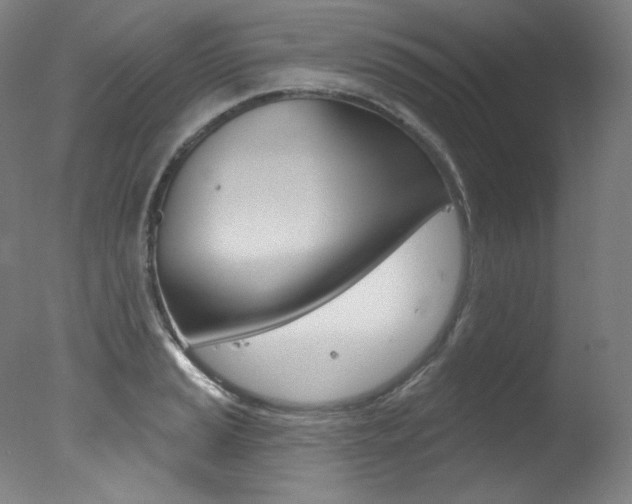 X0000078031037200610271037