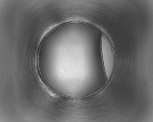 X0000078031040200610271037