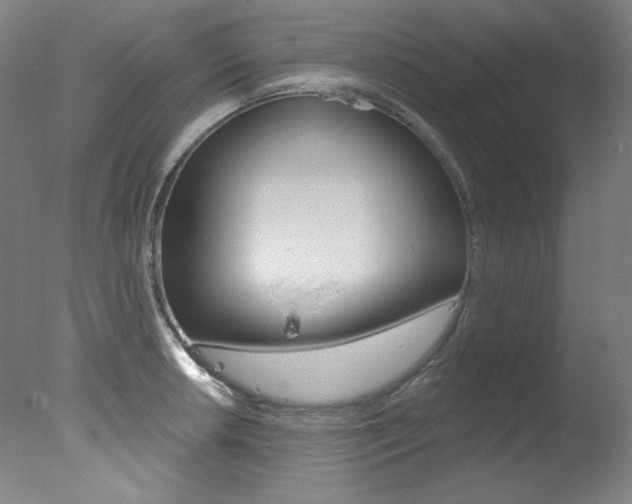 X0000078031042200610271037