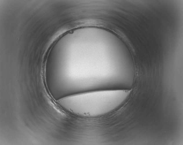 X0000078031043200610271037