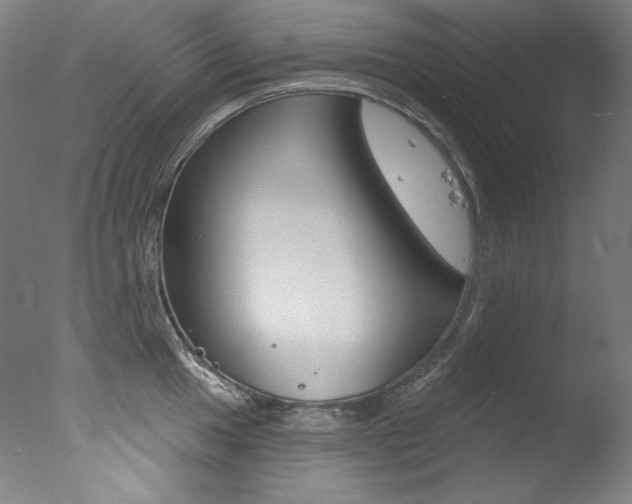 X0000078031049200610271037