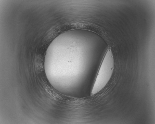 X0000078031058200610271036
