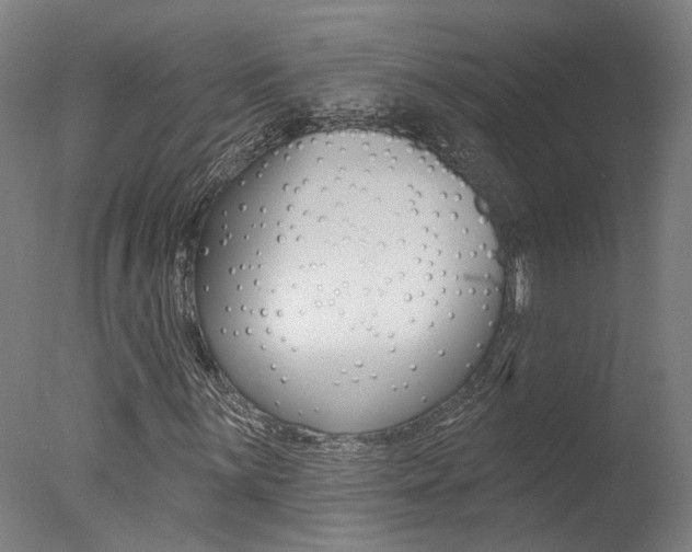 X0000078031059200610271036