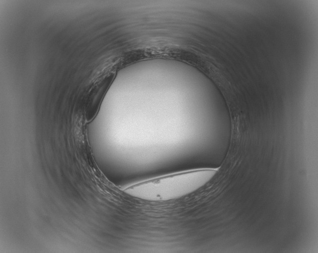 X0000078031060200610271036
