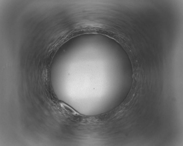 X0000078031061200610271036