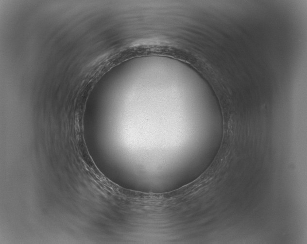 X0000078031062200610271036