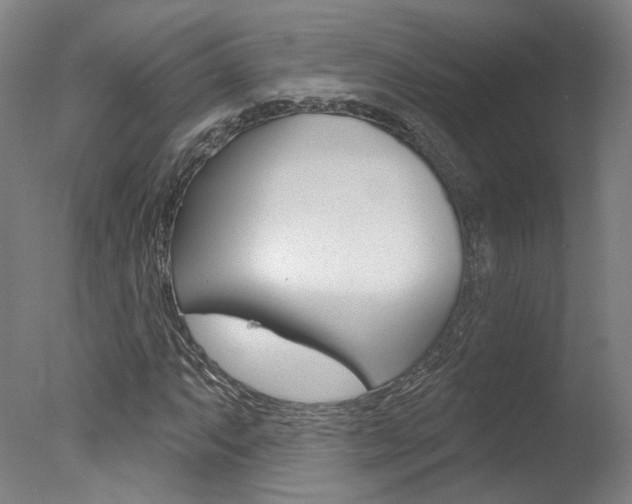 X0000078031063200610271036