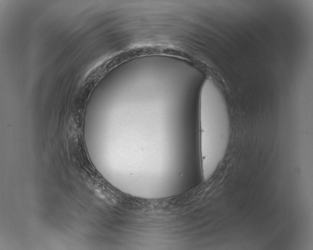X0000078031064200610271036