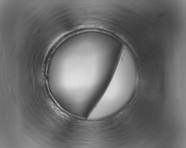 X0000078031068200610271036