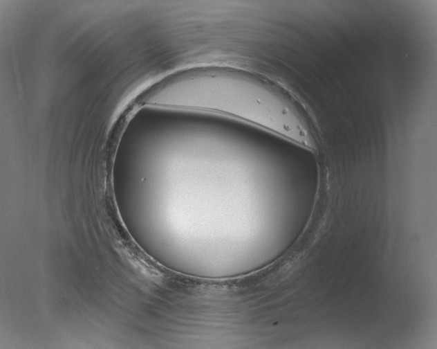 X0000078031069200610271036