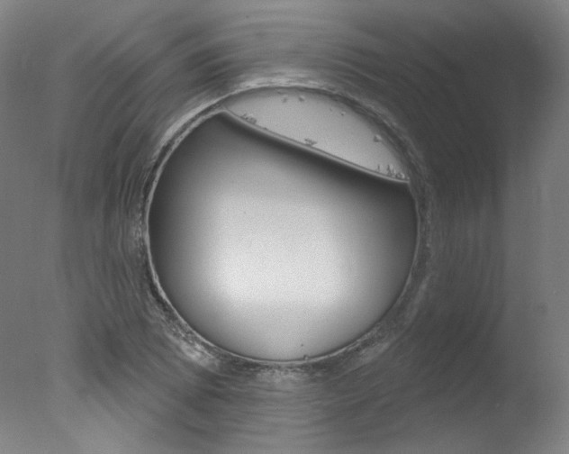 X0000078031073200610271036