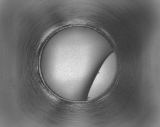 X0000078031075200610271036
