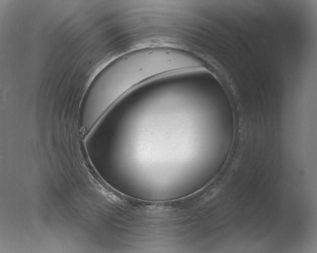 X0000078031081200610271036