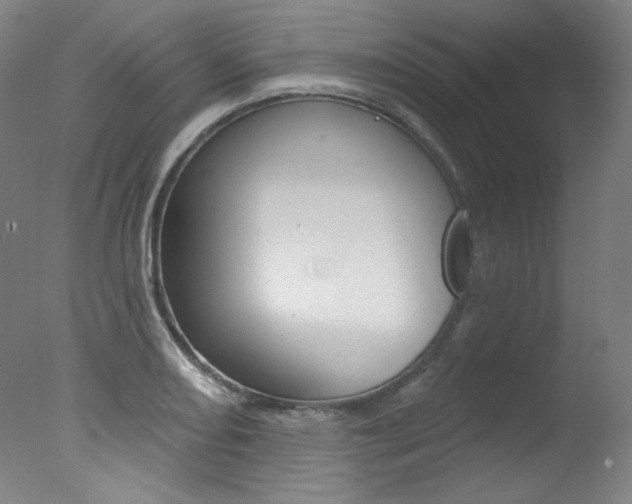 X0000078031082200610271036