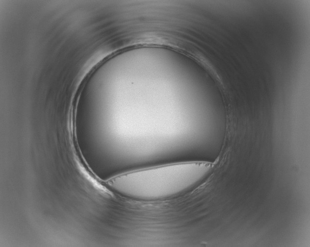 X0000078031084200610271036
