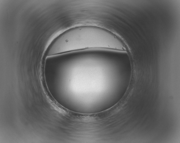 X0000078031085200610271036