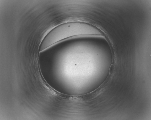 X0000078031089200610271036