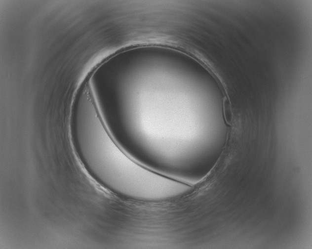 X0000078031093200610271036