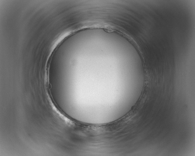 X0000078031095200610271036