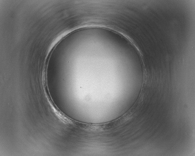 X0000078031101200610271035