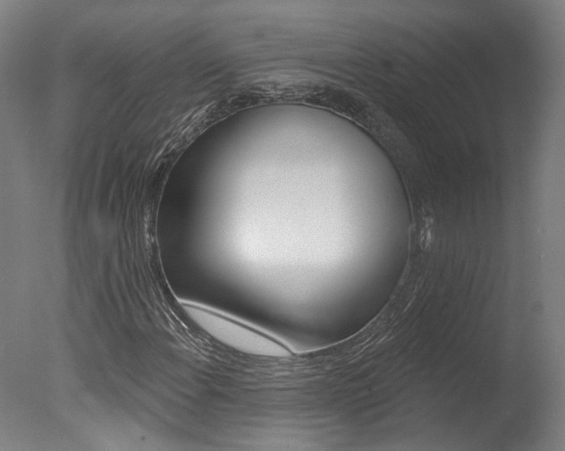 X0000078031108200610271035