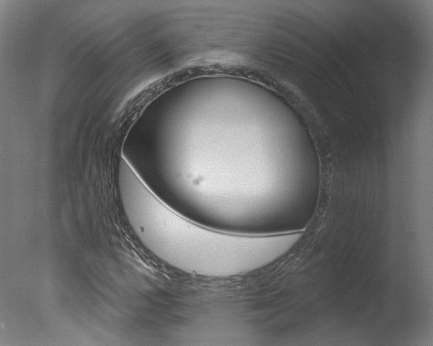 X0000078031112200610271035