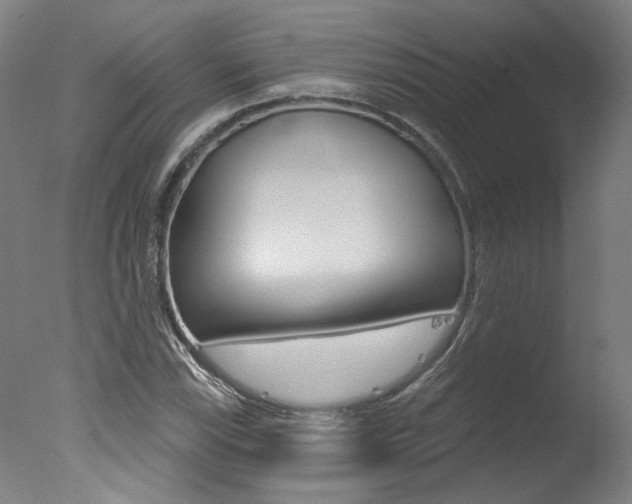 X0000078031115200610271035